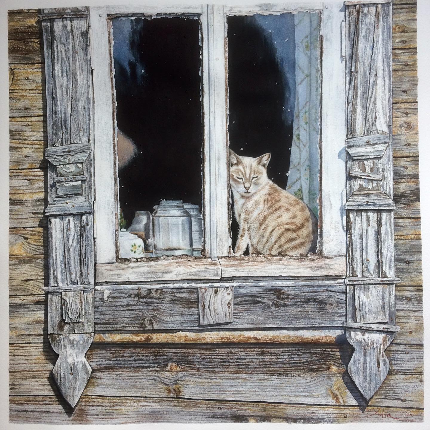 Ventana 4