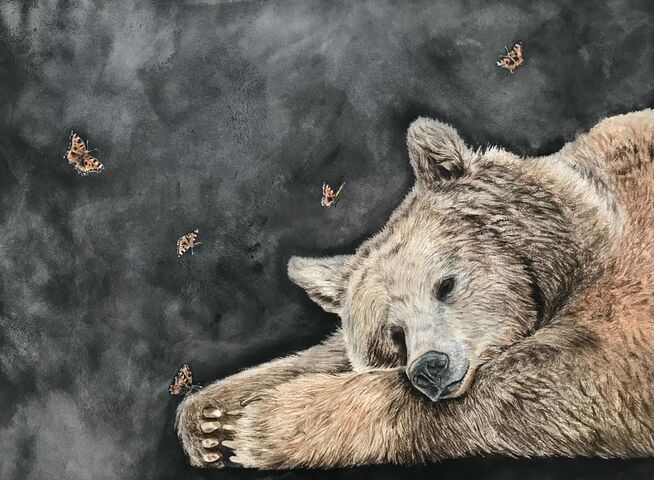 Oso dormido