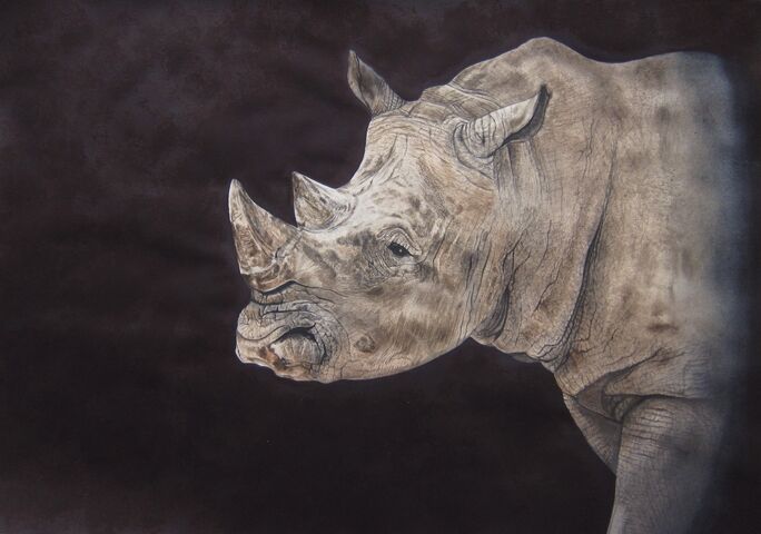 Rhino